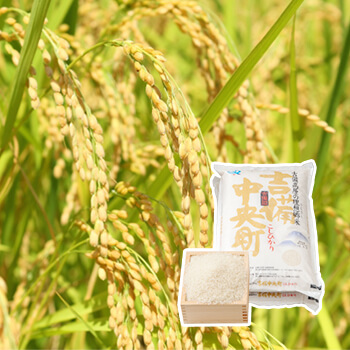 米づくり農家応援事業